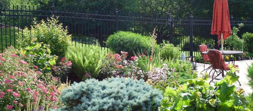 Best Perennial Garden Flowers