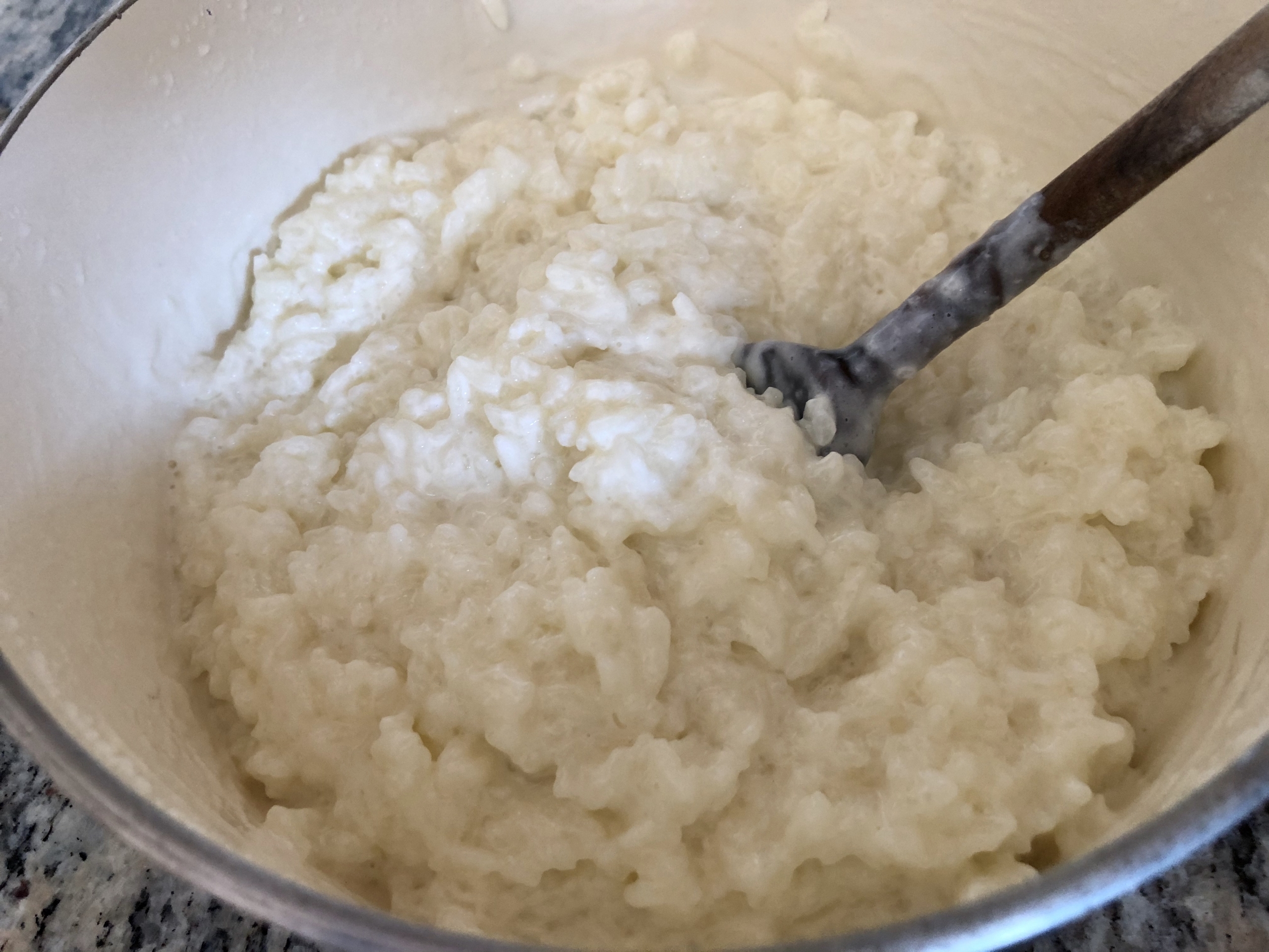 German Milk Rice Pudding - Milch Reis Recipe - Samsung Food