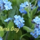 German Mother's Day and Authentic German Recipes